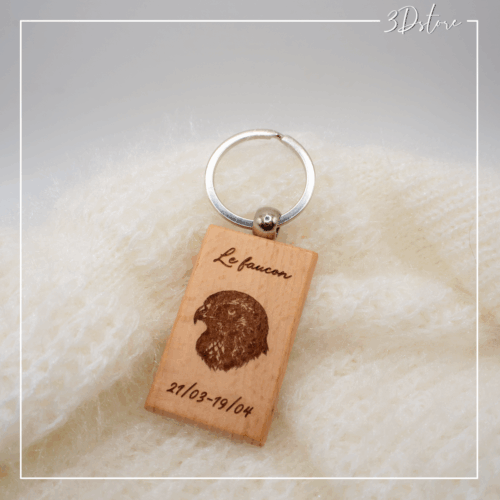 faucon - totem de naissance