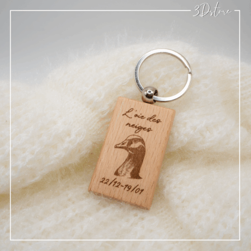 oie des neiges - totem de naissance