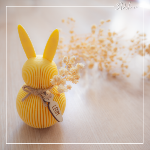 lapin pâques personnalisé